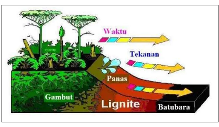 Gambar 1  Proses coalification (pembatubaraan), merupakan proses perubahan material gambut menjadi lignit dan batubara