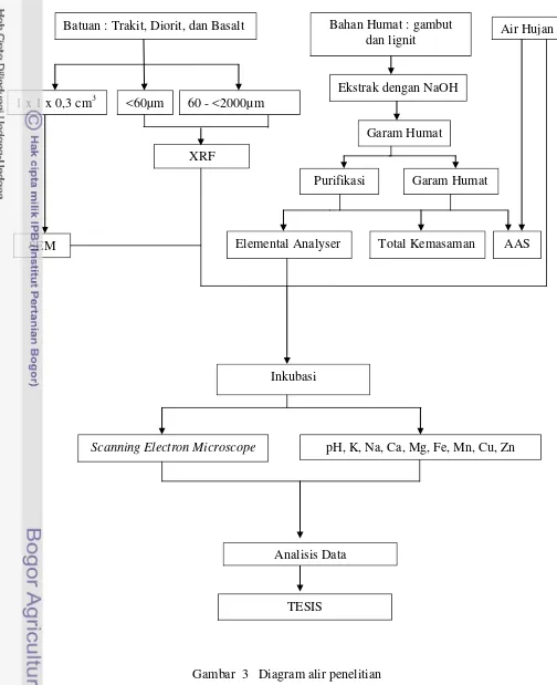 Gambar  3   Diagram alir penelitian 