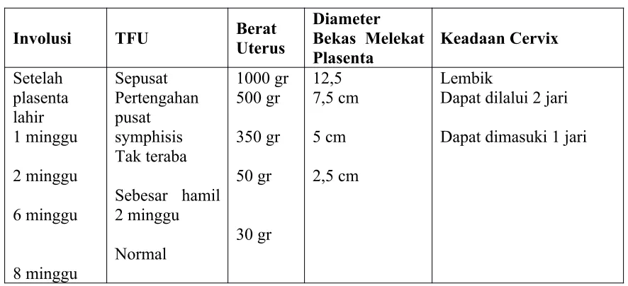 Tabel Perubahan Uterus Setelah melahirkan