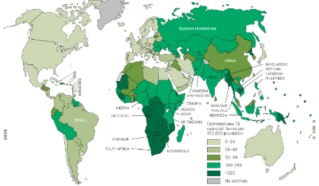 Gambar 1. Perkiraan jumlah insiden, Berdasarkan negara, tahun 2010