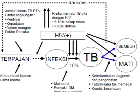 Gambar 11. Faktor Risiko Kejadian TB