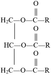 Gambar 1. Rumus kimia trigliserida 