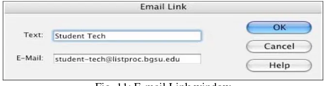 Fig. 11: E-mail Link window 