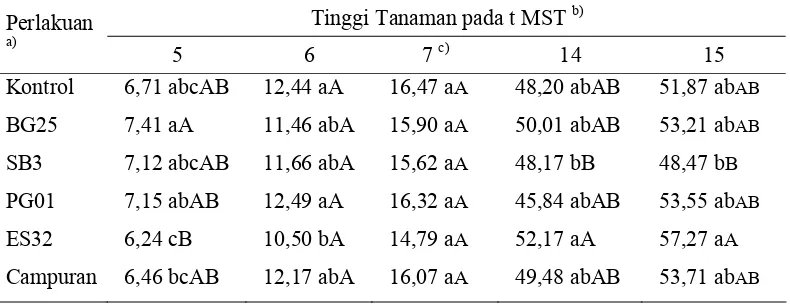 Tabel 1  Pengaruh perlakuan bakteri terhadap tinggi tanaman cabai pada beberapa waktu pengamatan 