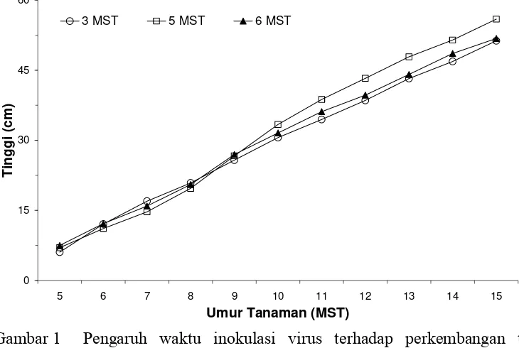 Gambar 1  Pengaruh waktu inokulasi virus  terhadap perkembangan tinggi tanaman; nilai rata-rata yang digunakan berasal dari seluruh perlakuan pada waktu inokulasi yang sama; 3, 4 dan 5 MST menunjukkan umur tanaman saat inokulasi virus