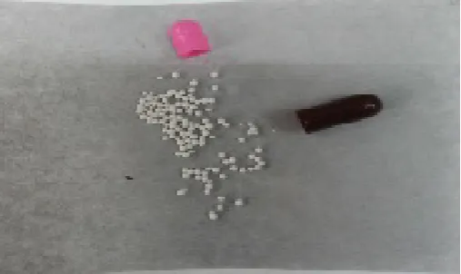 Gambar Granul Lansoprazole