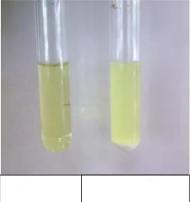 Gambar 5alisis Kualitadan etanol  . Hasil Anaatif dengan H2SO4 (e) d 