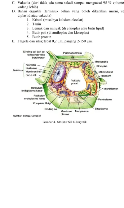 Gambar 4.  Struktur Sel Eukaryotik