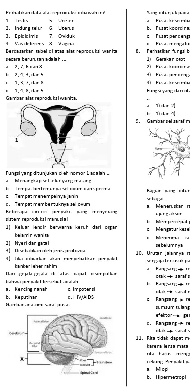 Gambar alat reproduksi wanita. 
