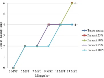 Gambar 4.  Grafik pertambahan jumlah daun  bibit R. apiculataintensitas naungan umur 3 MST sampai 13 MST