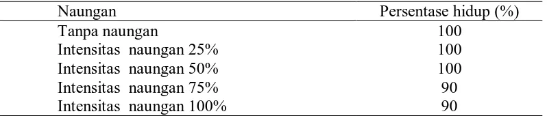 Tabel 8.  Persentase hidup bibit  R. apiculata terhadap berbagai intensitas naungan  Naungan Persentase hidup (%) 