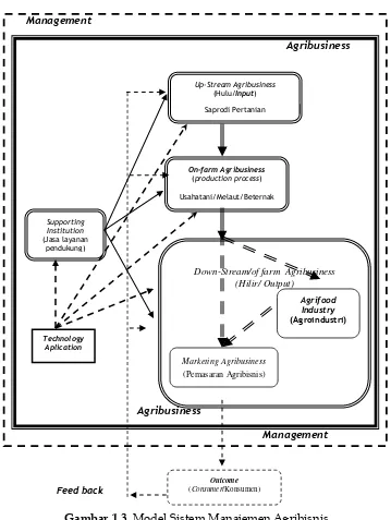 Gambar 1.3   Model Sistem Manajemen Agribisnis 