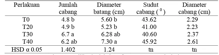 Tabel 1. Karakteristik jumlah cabang, diameter batang, sudut cabang primer, dan diameter cabang primer  akibat pemangkasan pucuk   