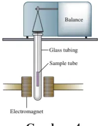 Gambar. 4Namun, eksperimen menunjukkan bahwa B2 sebenarnya paramagnetik dengan dua