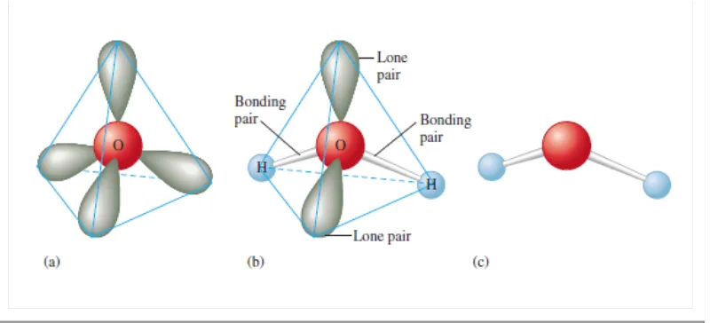 Gambar  a  menunjukkan  susunan  tetrahedral  dengan  empat  pasangan  elektrondisekeliling oksigen dalam molekul air