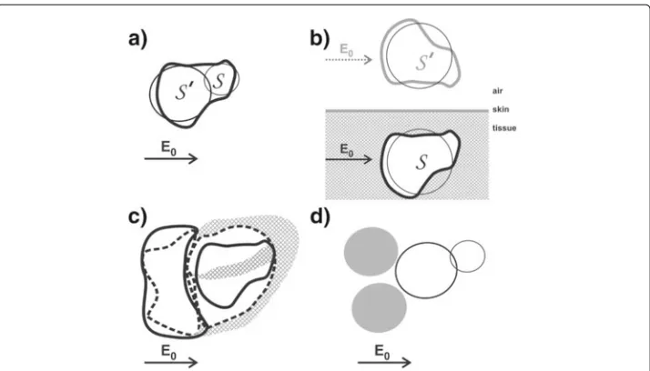 Figure 9 Schematics representing various anatomical and cardiological features that contribute to