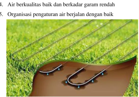 Gambar 2.3 Irigasi Pancaran 