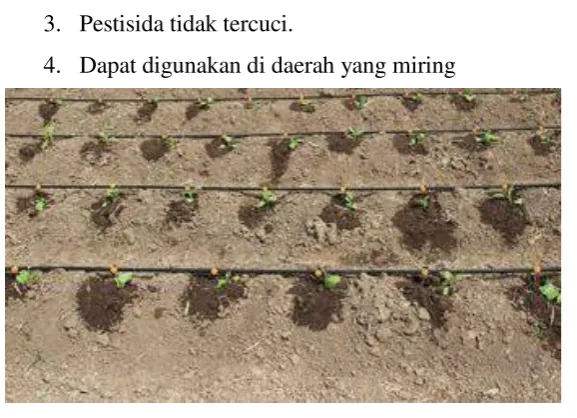 Gambar 2.4 Irigasi Tetes 