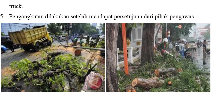 Gambar 8. Tahapan Pelaksanaan Pemotongan Pohon