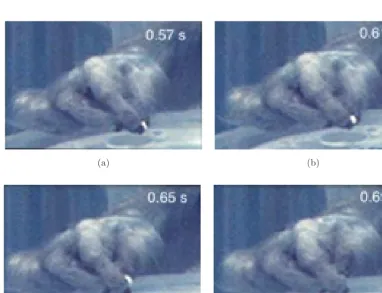 Fig. 6.Performance of precision grasping and manipulation by a monkey with a lesion to arm areas ofM1 þ LPMC (SDM48 � extent of lesion shown in Fig