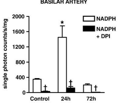 Fig. 4 –†* Effect of NADPH (100 μmol/l)±DPI (5 μmol/l) on O−2production in basilar arteries from rats 24 h or 72 h afterstroke, and from control rats 24 h after injection of saline.Experiments were carried out in the presence of DETCA(3 mmol/l)