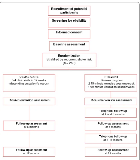 Figure 1 Flow chart outlining the study protocol.