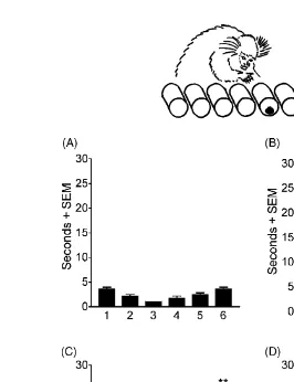 Fig. 2. Mean time for marmosets A, M and O to ﬁnd the food reward hidden in one of the six tubes in a horizontal array (A) before pMCAO; (B)3 weeks after pMCAO; (C) 10 weeks after pMCAO and (D) 20 weeks after pMCAO