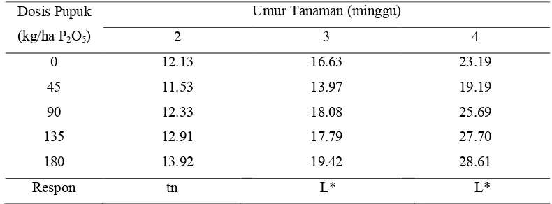 Tabel 2. Pengaruh Penambahan Dosis Pupuk P terhadap Tinggi Tanaman Kangkung (cm)