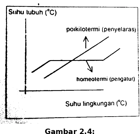 Gambar 2.4:Diagram hubungan suhu tubuh dan suhu lingkungan padahewan
