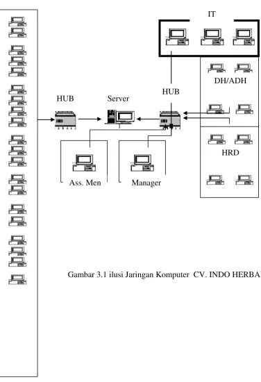 Gambar 3.1 ilusi Jaringan Komputer  CV. INDO HERBAL   