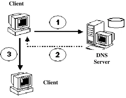 Gambar 3.5 cara kerja DNS  