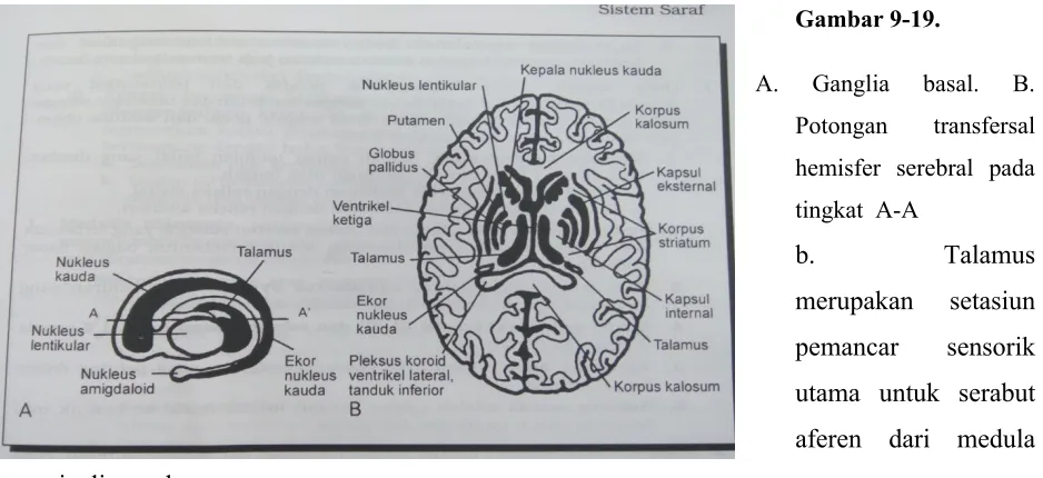 Gambar 9-19.       
