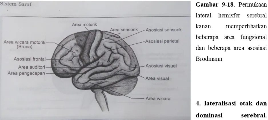 Gambar  9-18. Permukaan