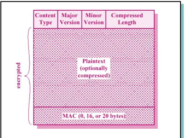 Figure 2. SSL Record Format 