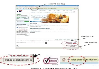 Gambar 12.3 Indikator penggunaan SSL/TLS      