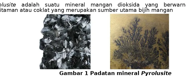 Gambar 1 Padatan mineral Pyrolusite