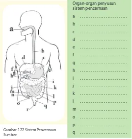 Gambar 1.22 Sistem Pencernaan