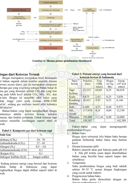 Gambar 6: Skema proses pembuatan bioethanol  