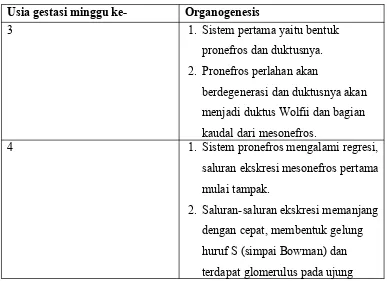 Gambar 1. Cikal bakal ginjal (Pronefros,Mesonefros dan Metanefros)