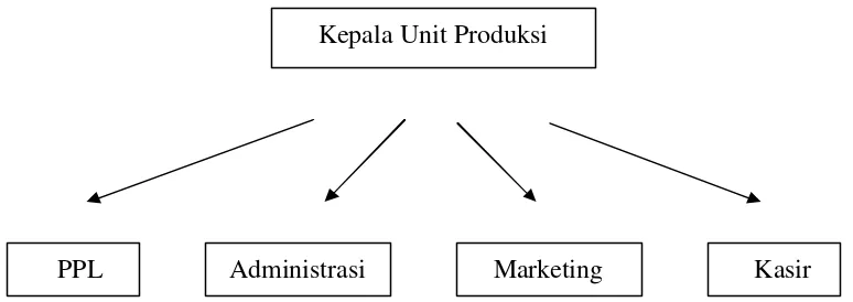 Gambar 4. Struktur Organisasi CV. Janu Putro Cabang Bogor Tahun 2005-2006 