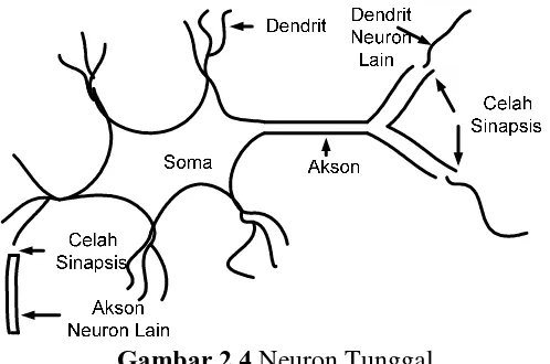 Gambar 2.4 Neuron Tunggal 
