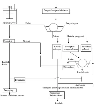 Gambar 1.1 Seluruh proses ekstraksi dan pemurnian antibiotik