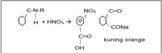 Gambar 4. Reaksi Percobaan Uji Xantoprotein