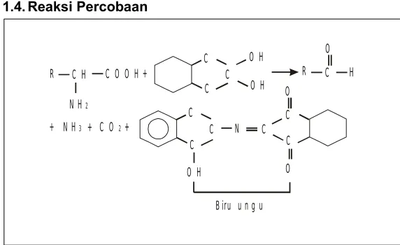 Gambar 1. Reaksi Percobaan Uji Ninhydrin