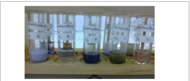 Gambar 3. Hasil Pengamatan Uji Ninhydrin