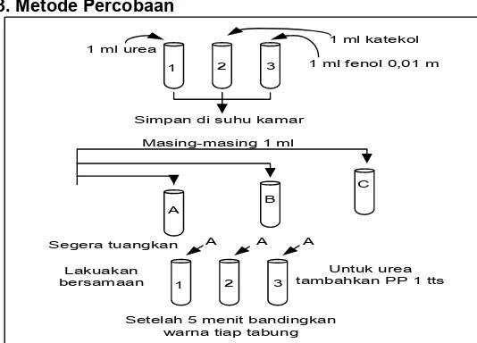 Gambar 2. Metode Percobaan Uji Spesifikasi Enzim