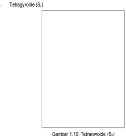 Gambar 1.10. Tetragyroide (S4)