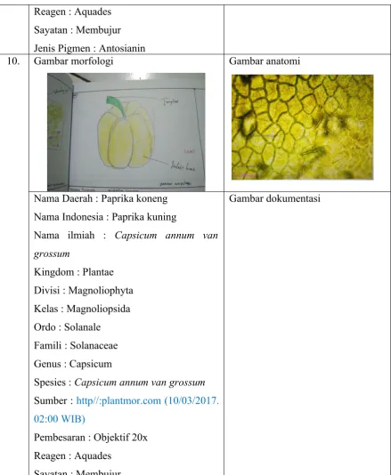 Gambar morfologi