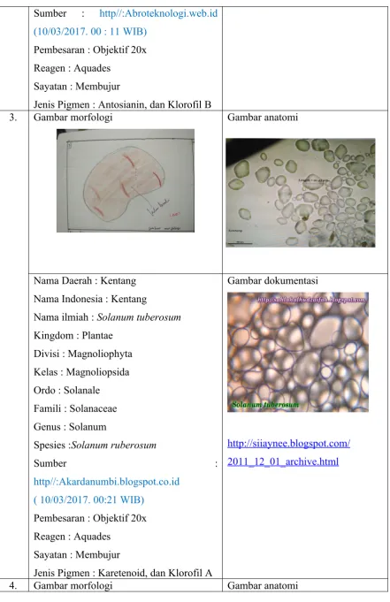 Gambar morfologi