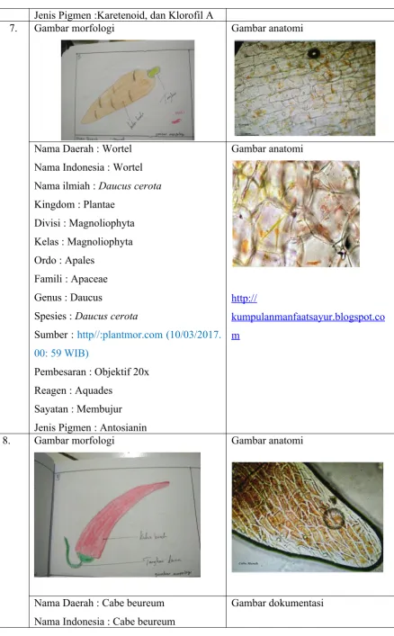 Gambar morfologi